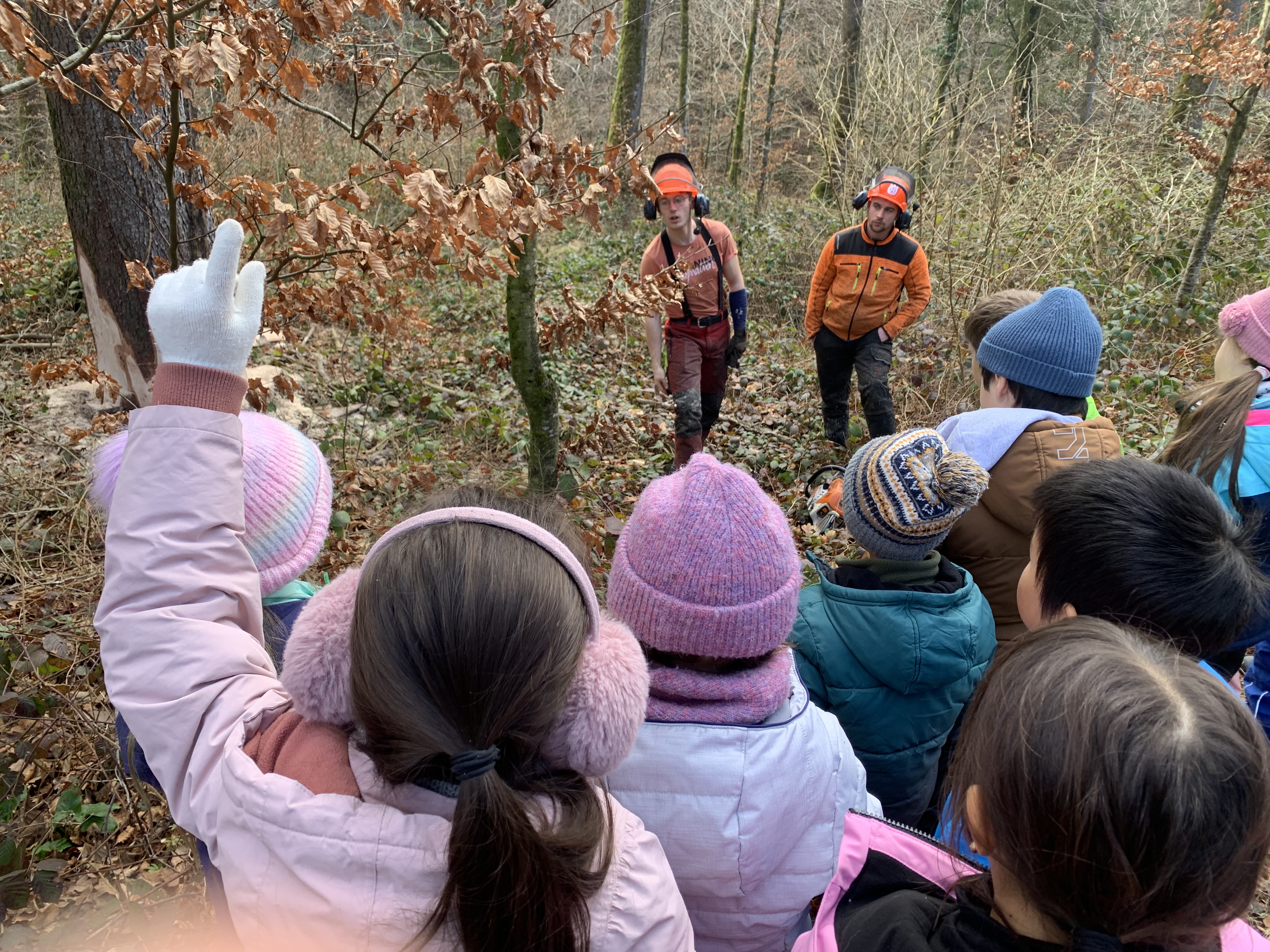 Ecole en forêt - 4P avec l'équipe forestière