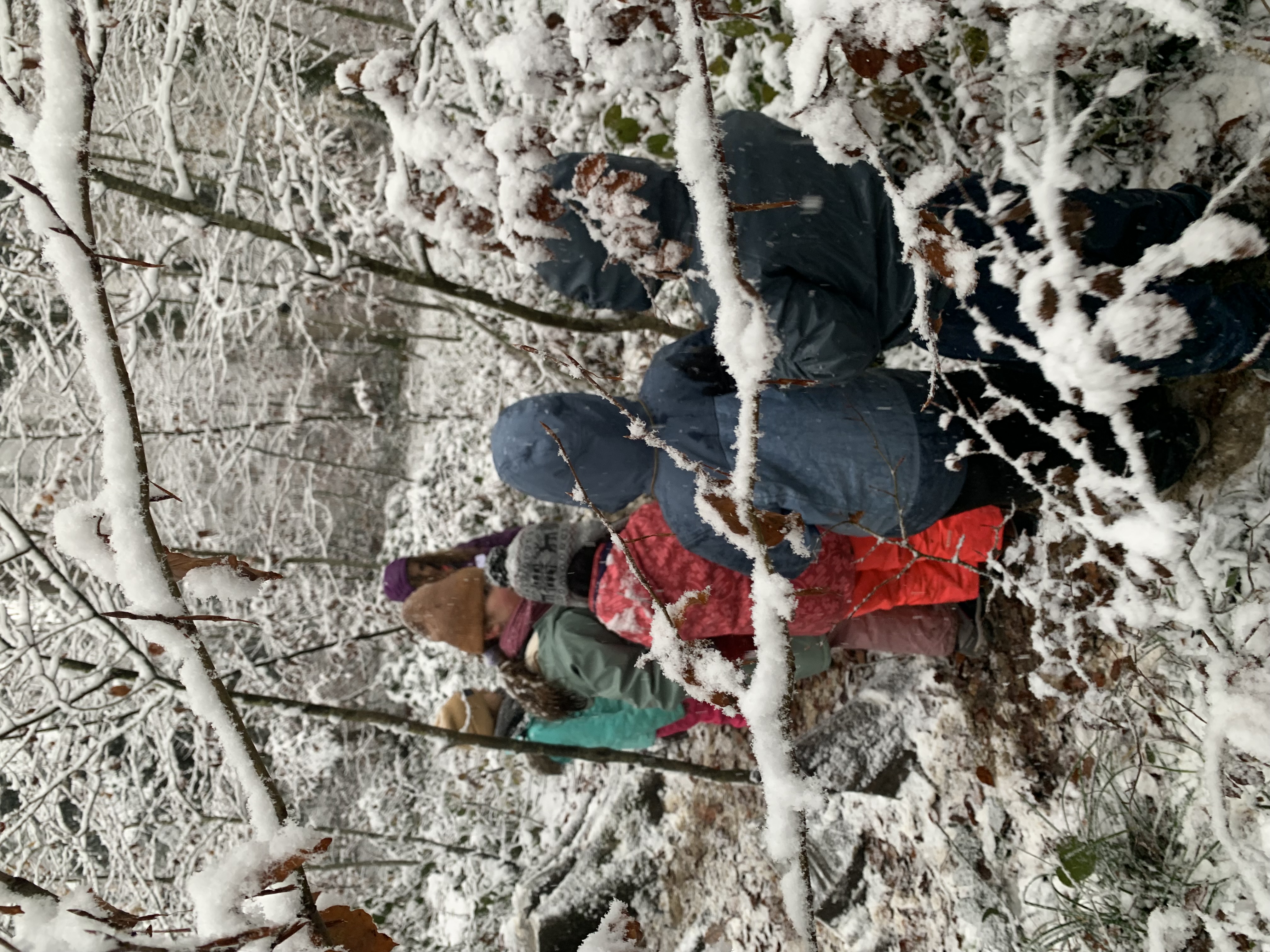 Ecole en forêt - l'hiver