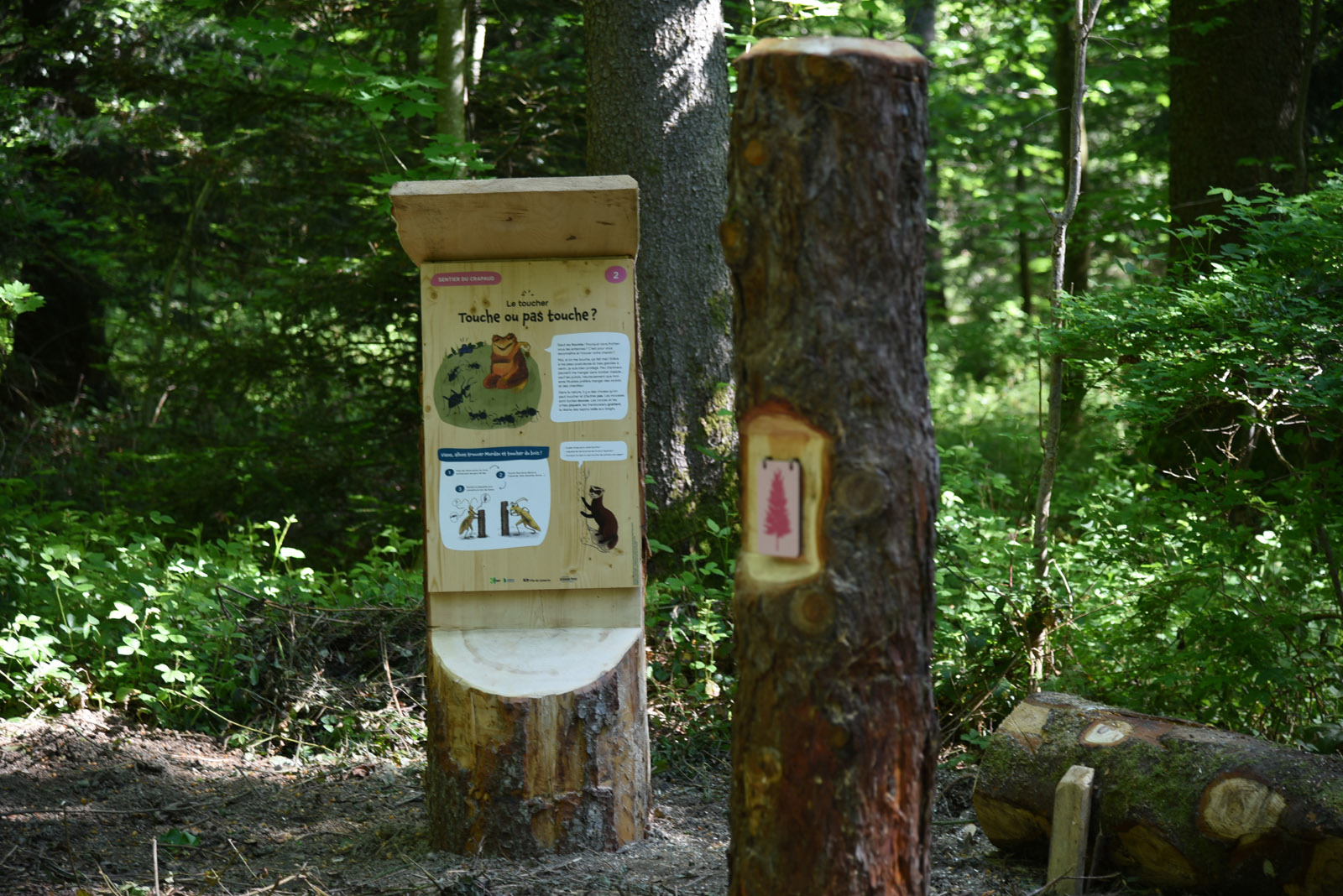 balisage_du_sentier